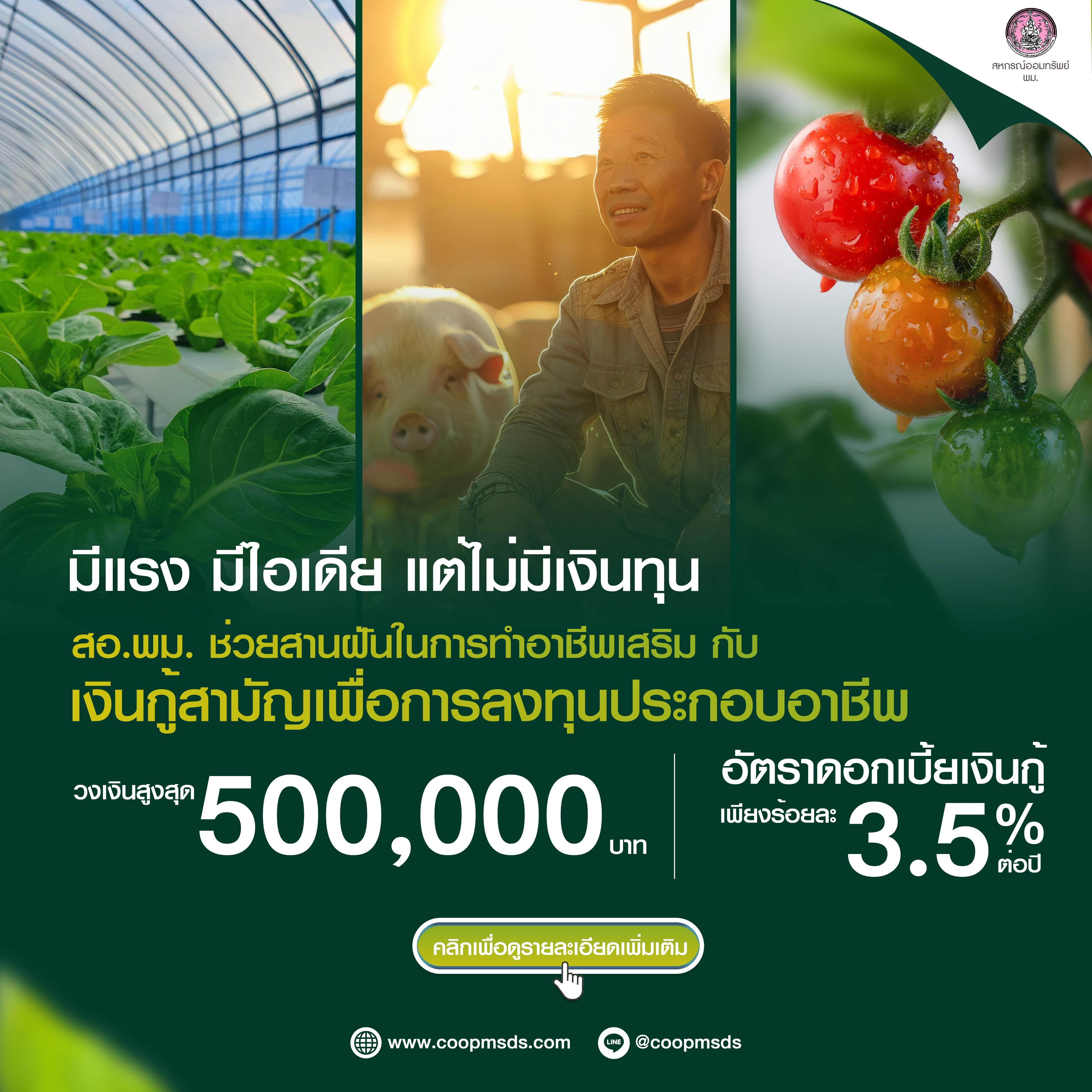 เงินกู้สามัญเพื่อการลงทุนประกอบอาชีพ